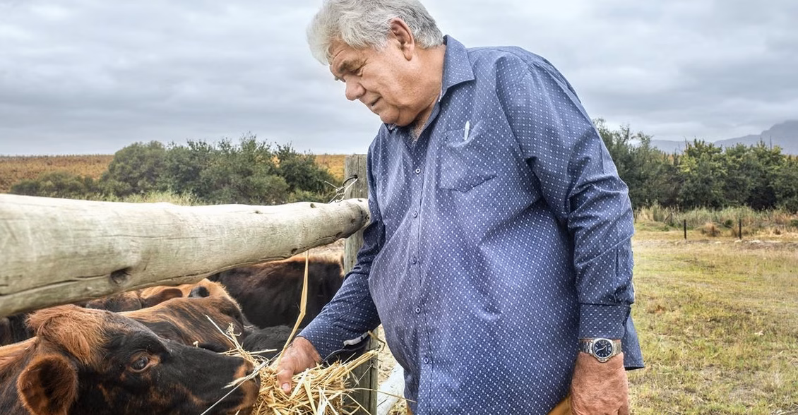 « Assurer un avenir durable à mon fils » : les agriculteurs bretons qui investissent dans la pérennité de leurs exploitations